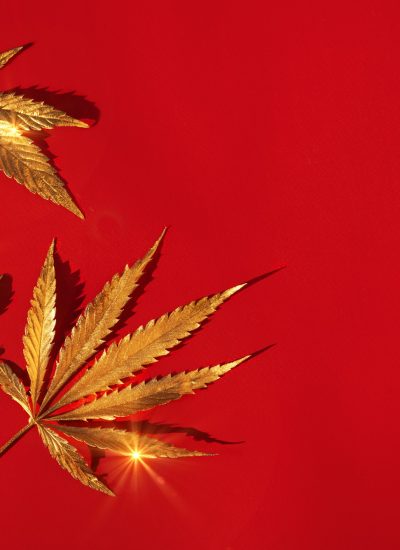 Abstract red christmas background with golden cannabis, marijuana leaves with shine.